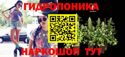 тгк Лесосибирск