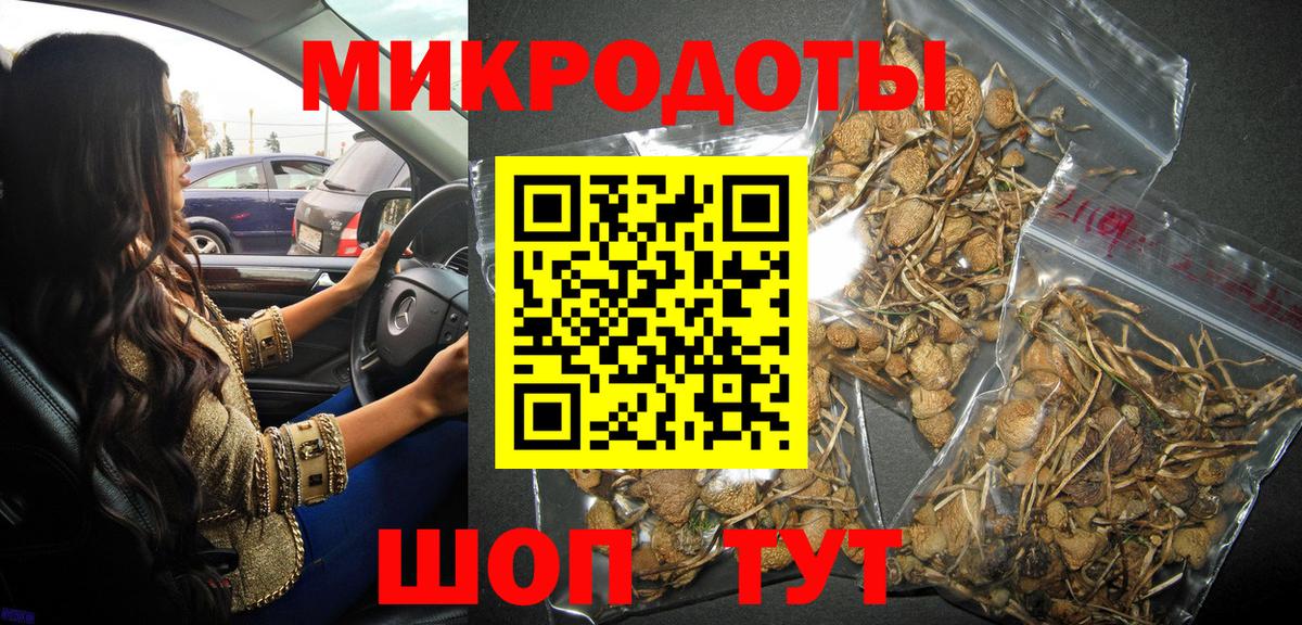 Галлюциногенные грибы GOLDEN TEACHER Владивосток