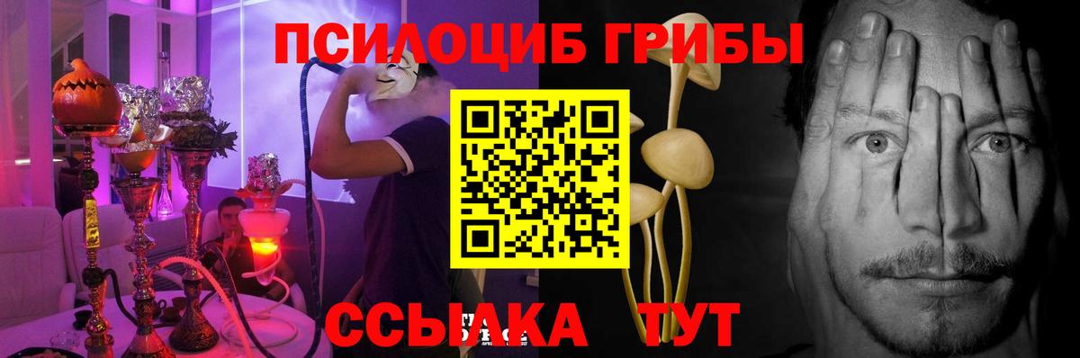 Владивосток  Галлюциногенные грибы GOLDEN TEACHER  Галлюциногенные грибы Magic Shrooms  магазин продажи   Вход с VPN 